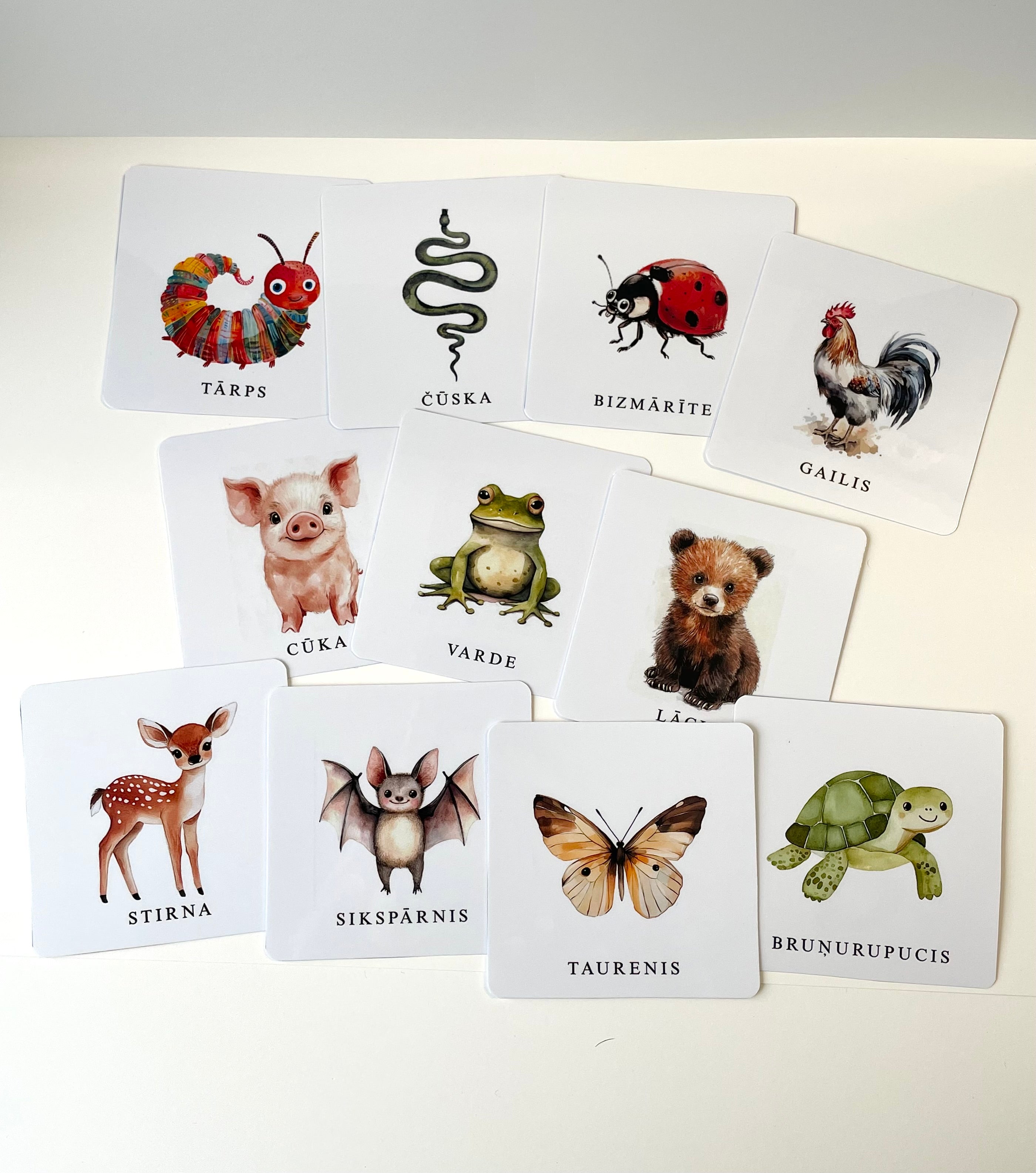Dzīvienku kartītes.
