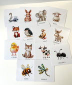 Dzīvienku kartītes.