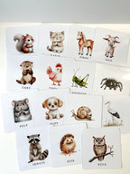 Dzīvienku kartītes.