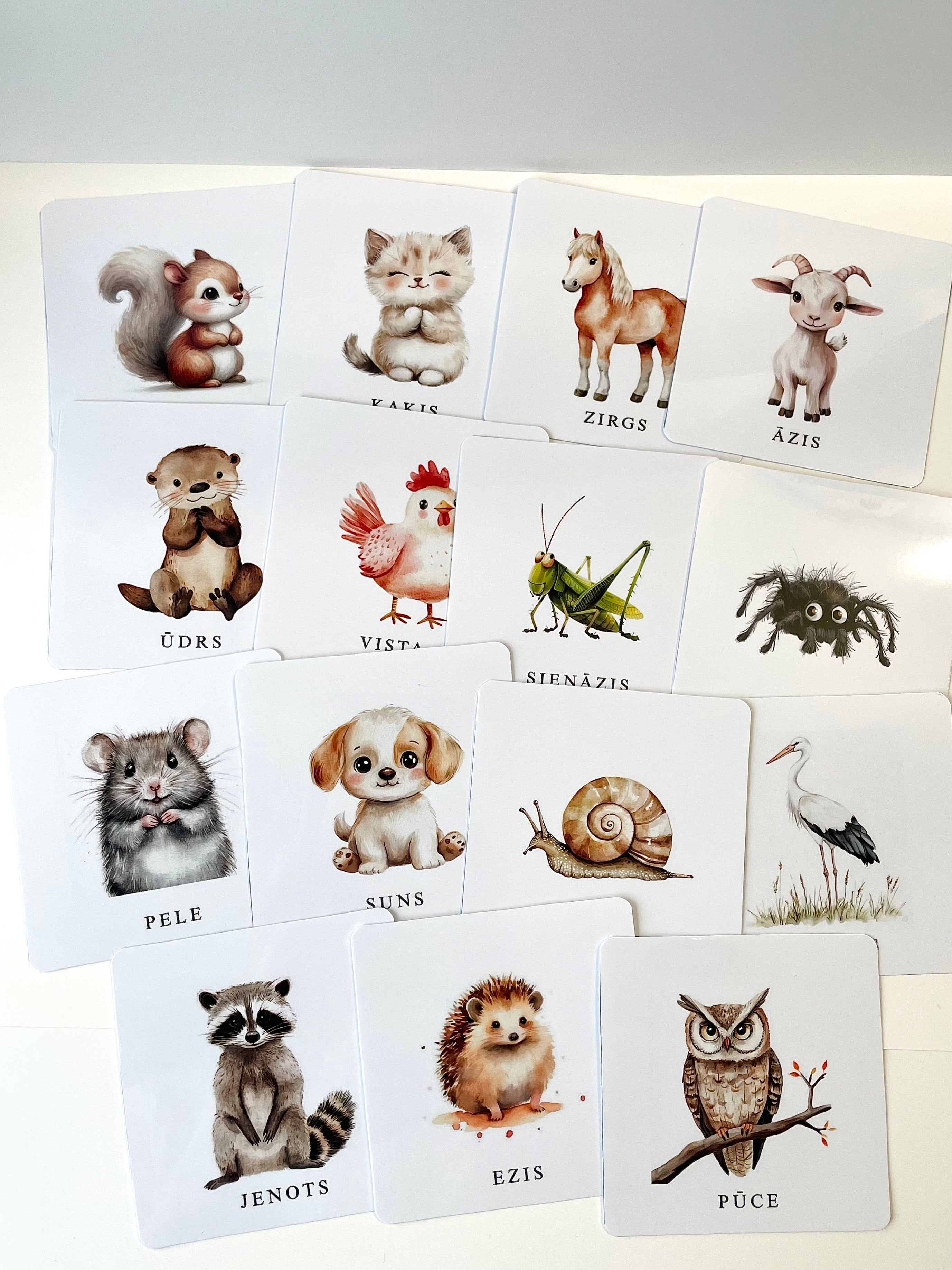 Dzīvienku kartītes.