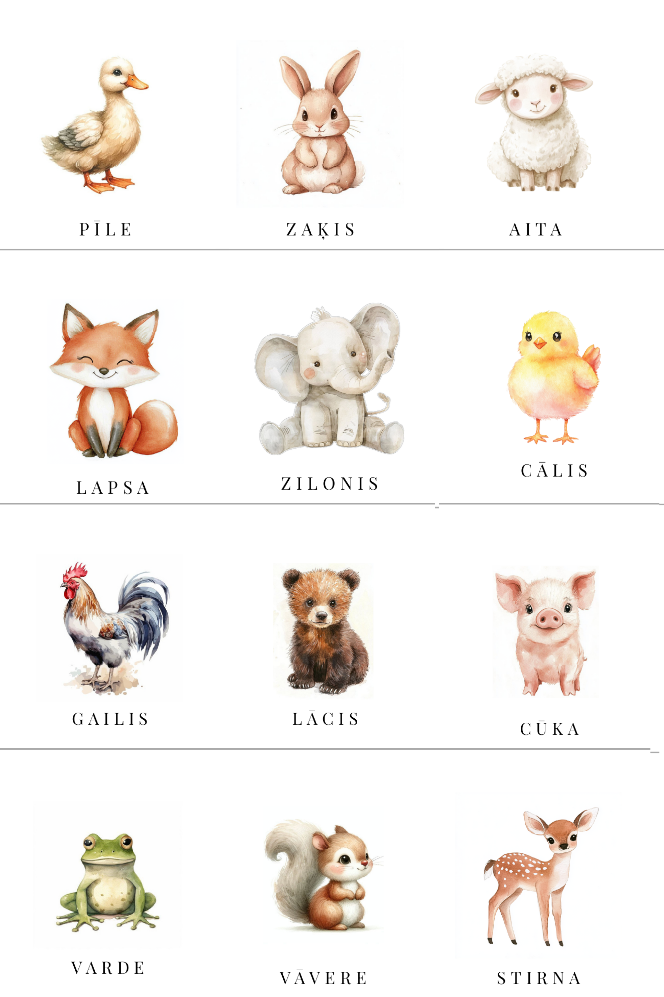 Dzīvienku kartītes.