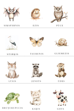 Dzīvienku kartītes.